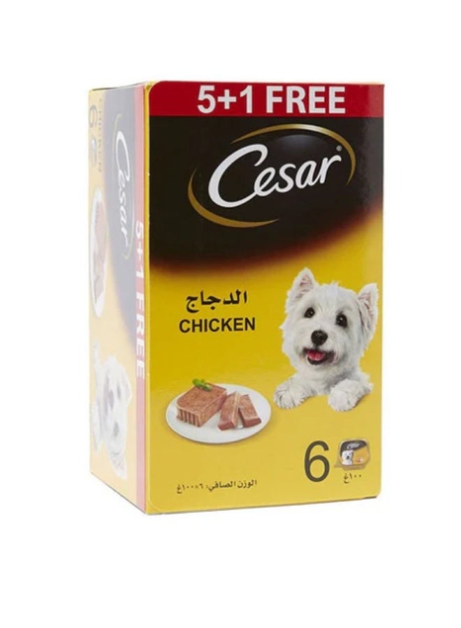 Cesar Chicken 5+1 FREE Promo Pack Wet Dog Food - 6X100G